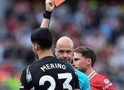 开云,开云电子-阿森纳关键一役惨遭绝杀，球迷难掩失望，就是详细大学.的简单介绍